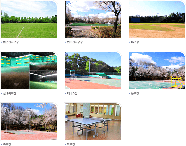 �ſ��ܵ���, �����ܵ���, �߱���, �ǳ��߱���, �״Ͻ���, ����, ������, Ź����